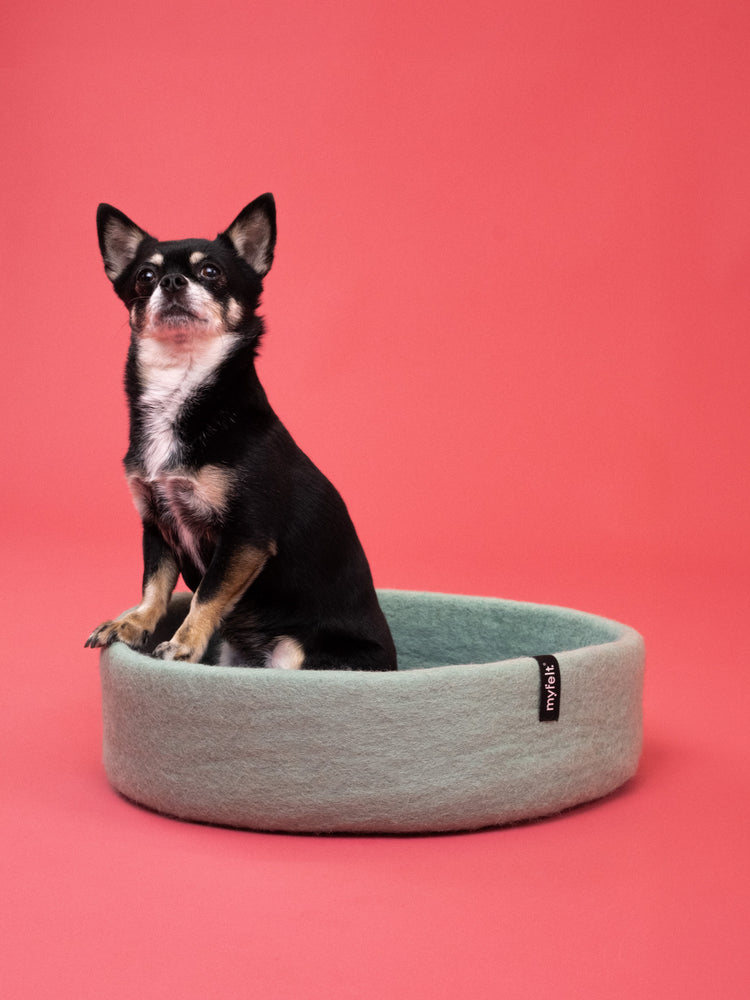 Panier pour chien Fine