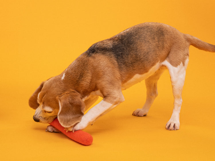 Jouet pour chien Isa - Bâton