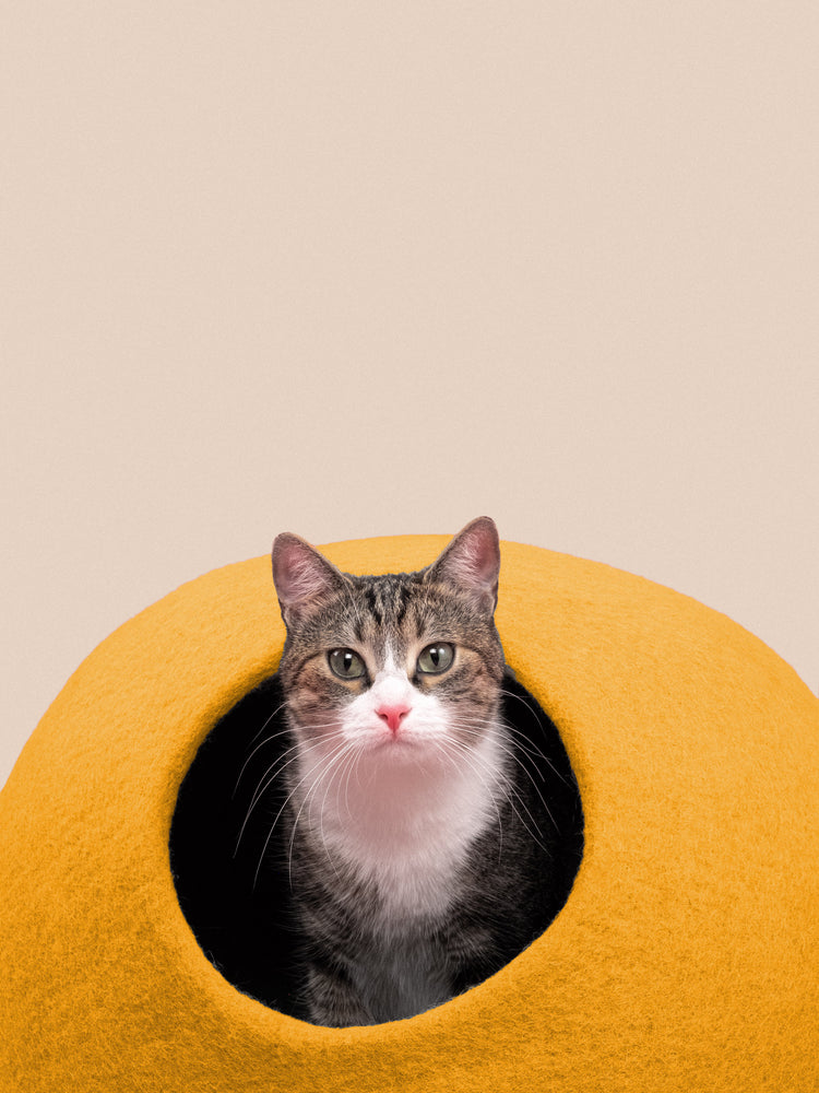 Grotte pour chat Risa